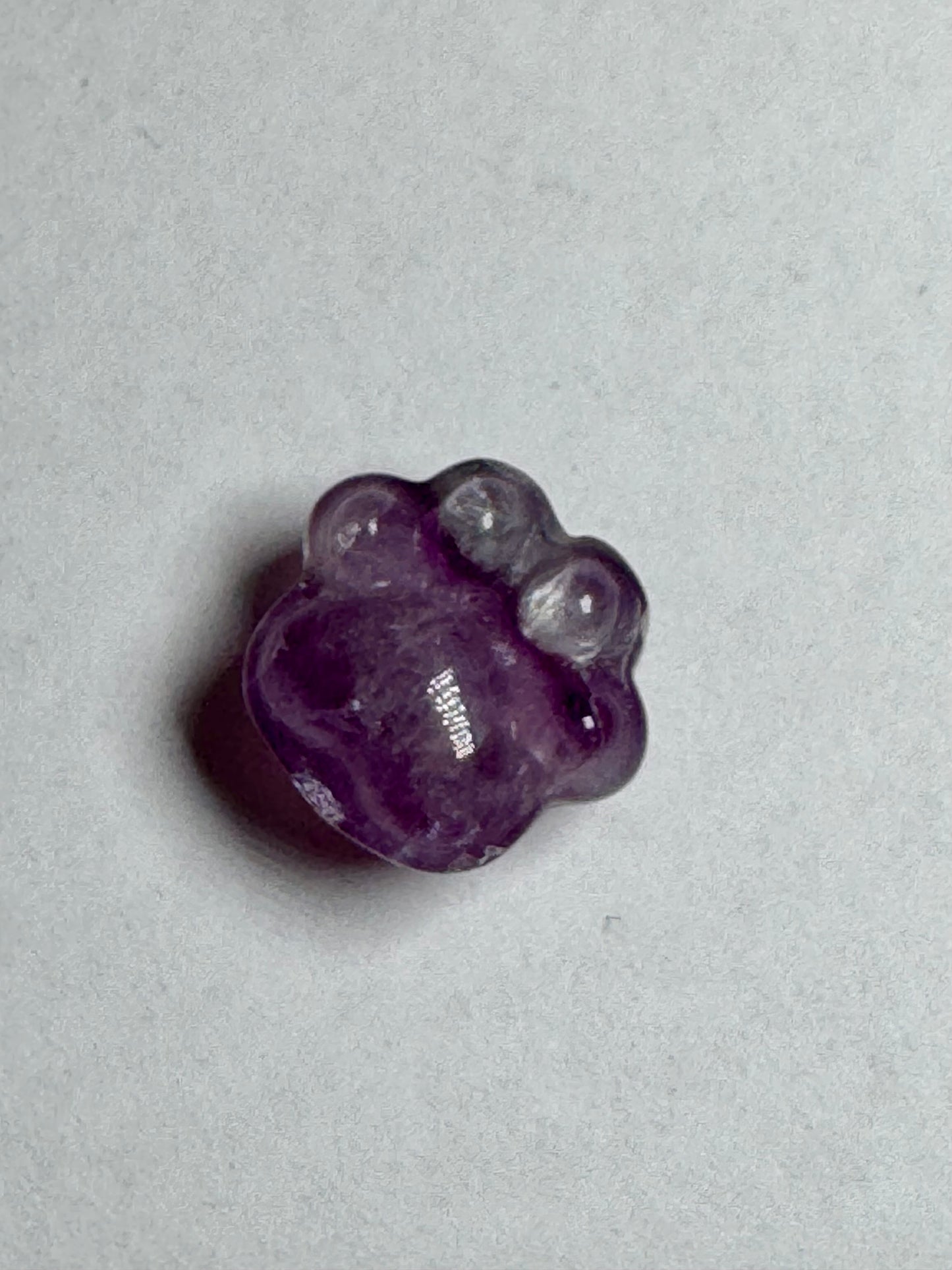Mini Fluorite Paw Print
