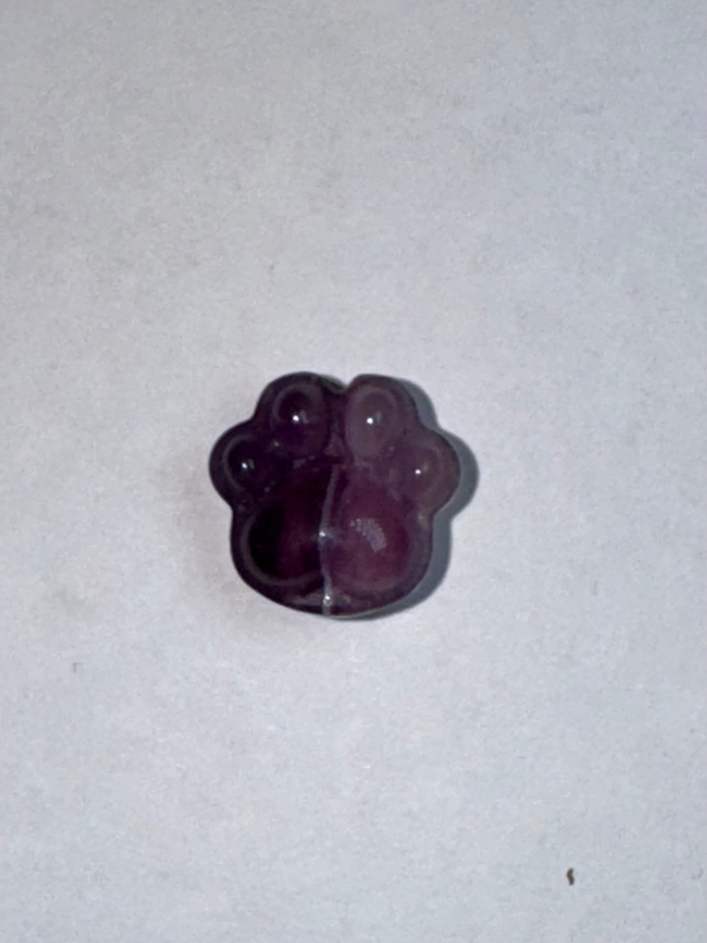 Mini Fluorite Paw Print