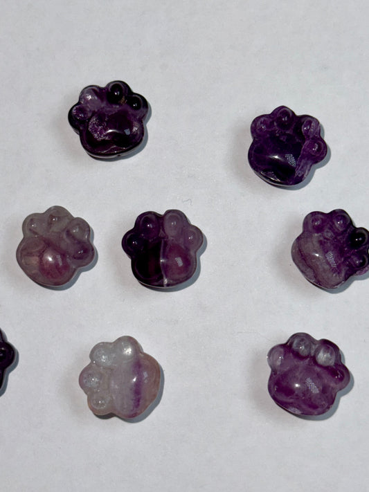 Mini Fluorite Paw Print