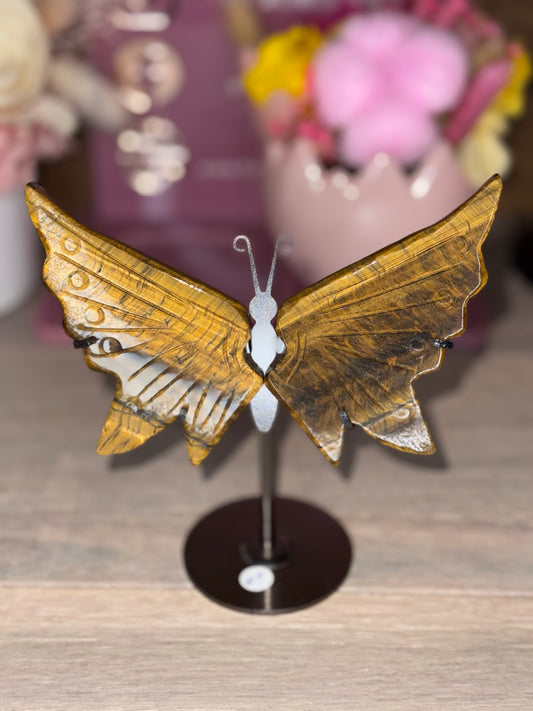 Tigers Eye Butterfly Wings (W44)