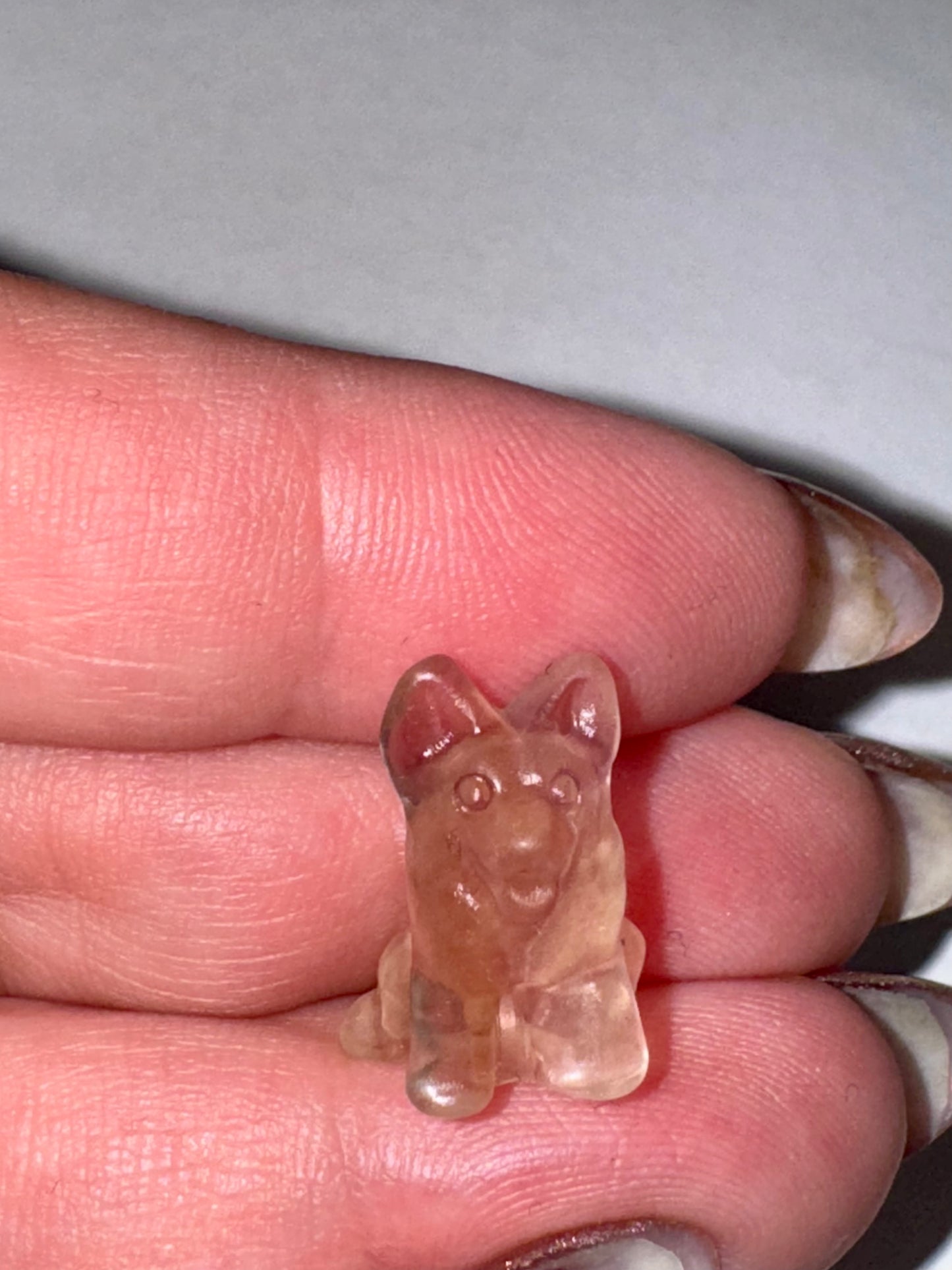 Mini Fluorite Dog #1