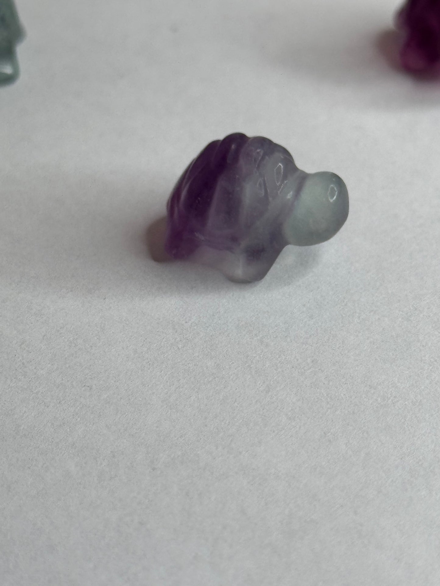 Mini Fluorite Turtle