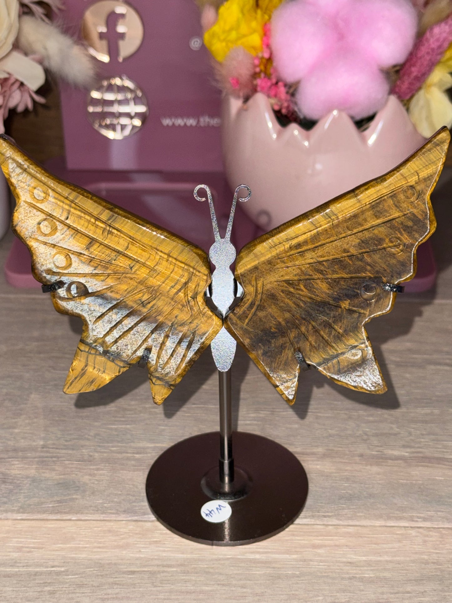 Tigers Eye Butterfly Wings (W44)