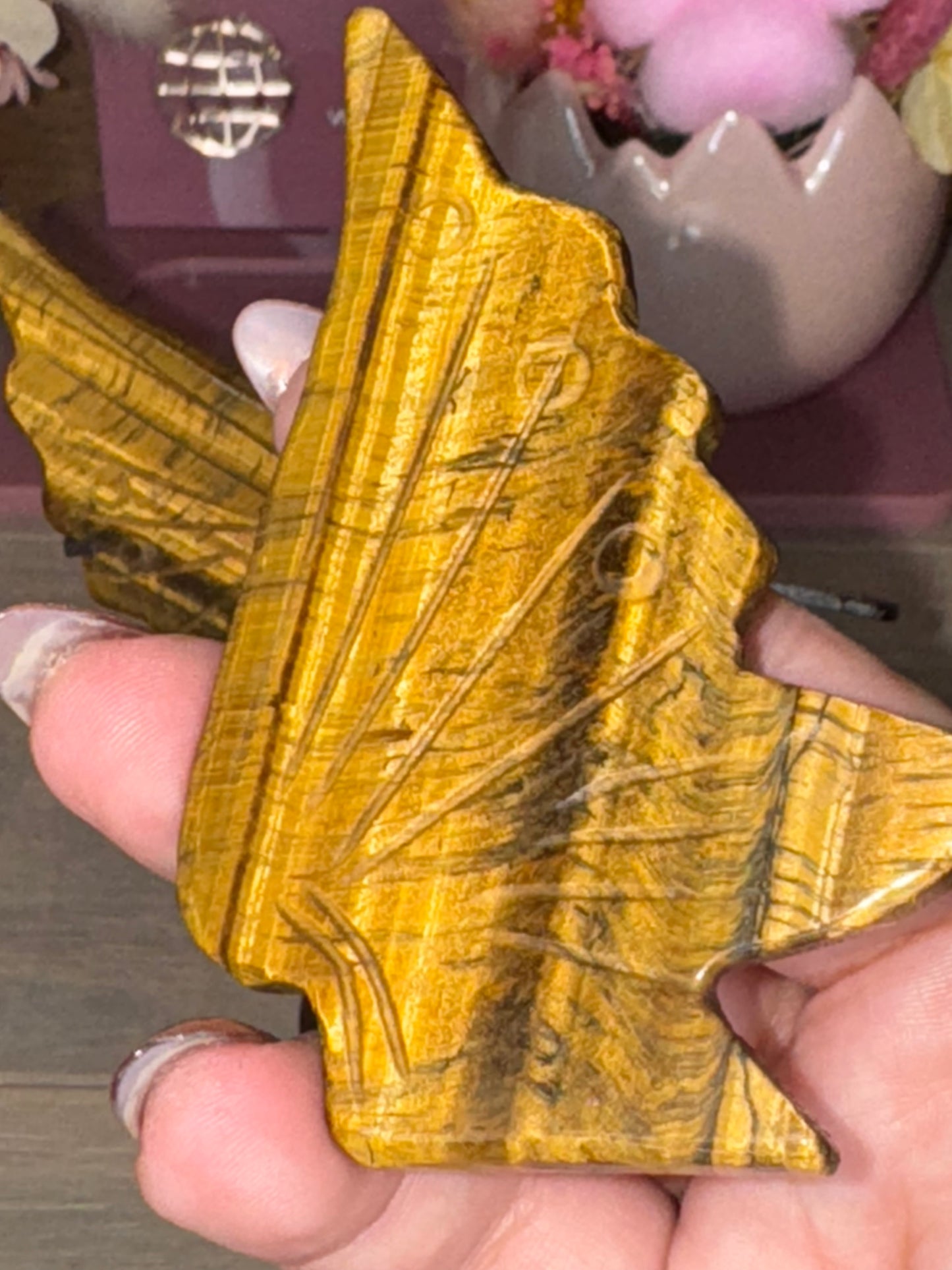 Tigers Eye Butterfly Wings (W44)