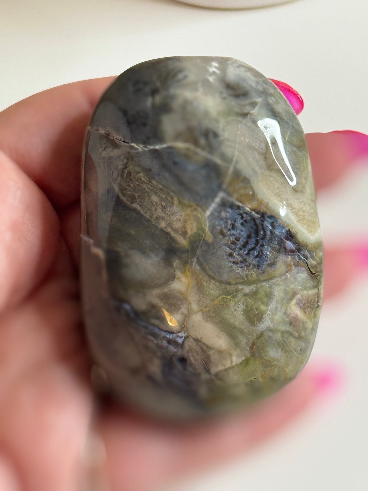 Volcano Agate Palm-stone - Low grade