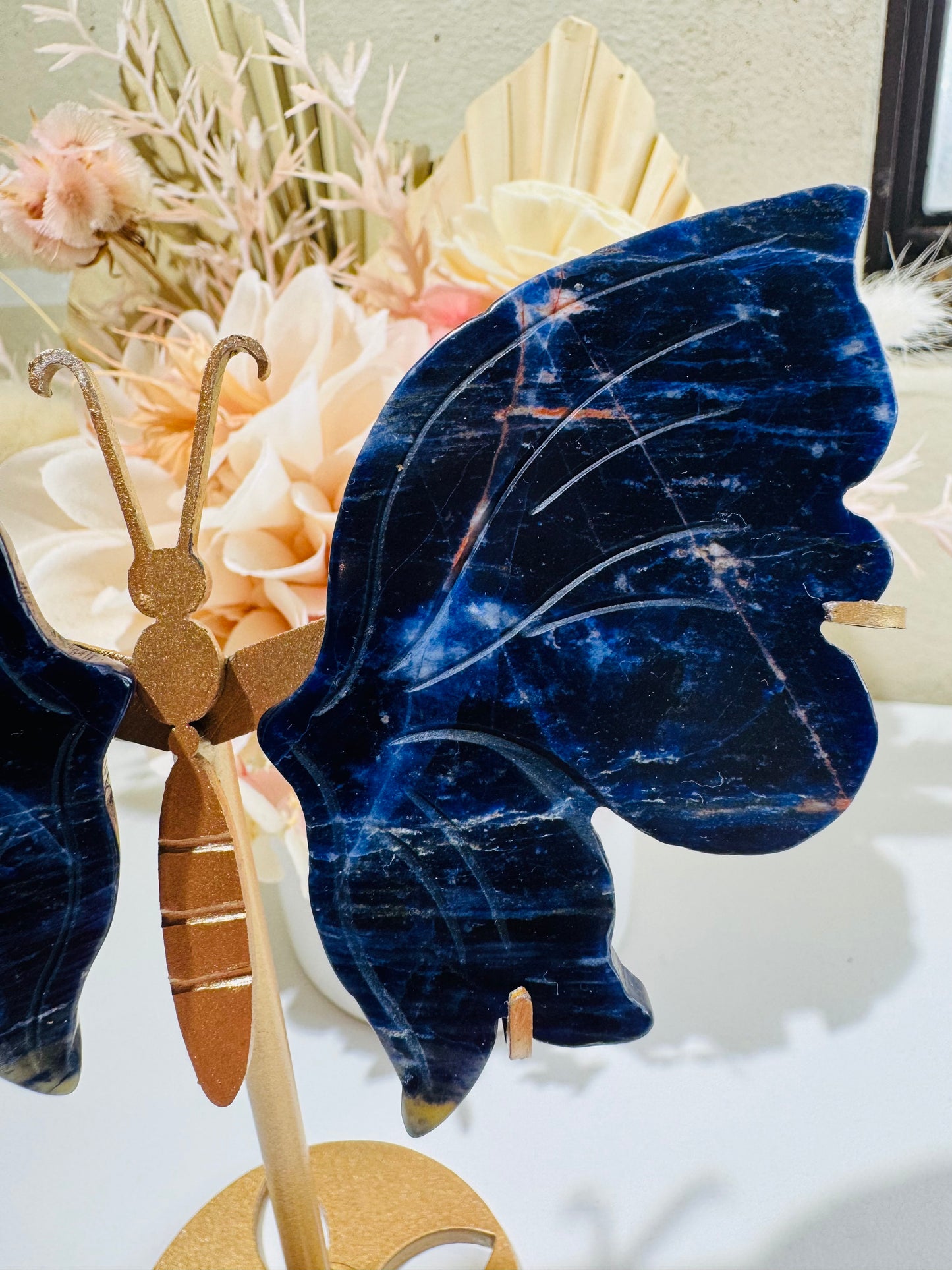 Sodalite Butterfly (miss match stand)