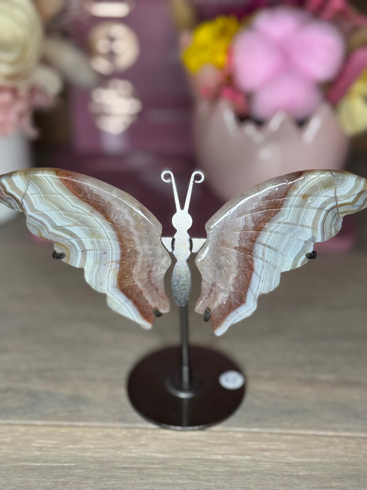 Amethyst and Crazy Lace Agate Butterfly Wings (A95)