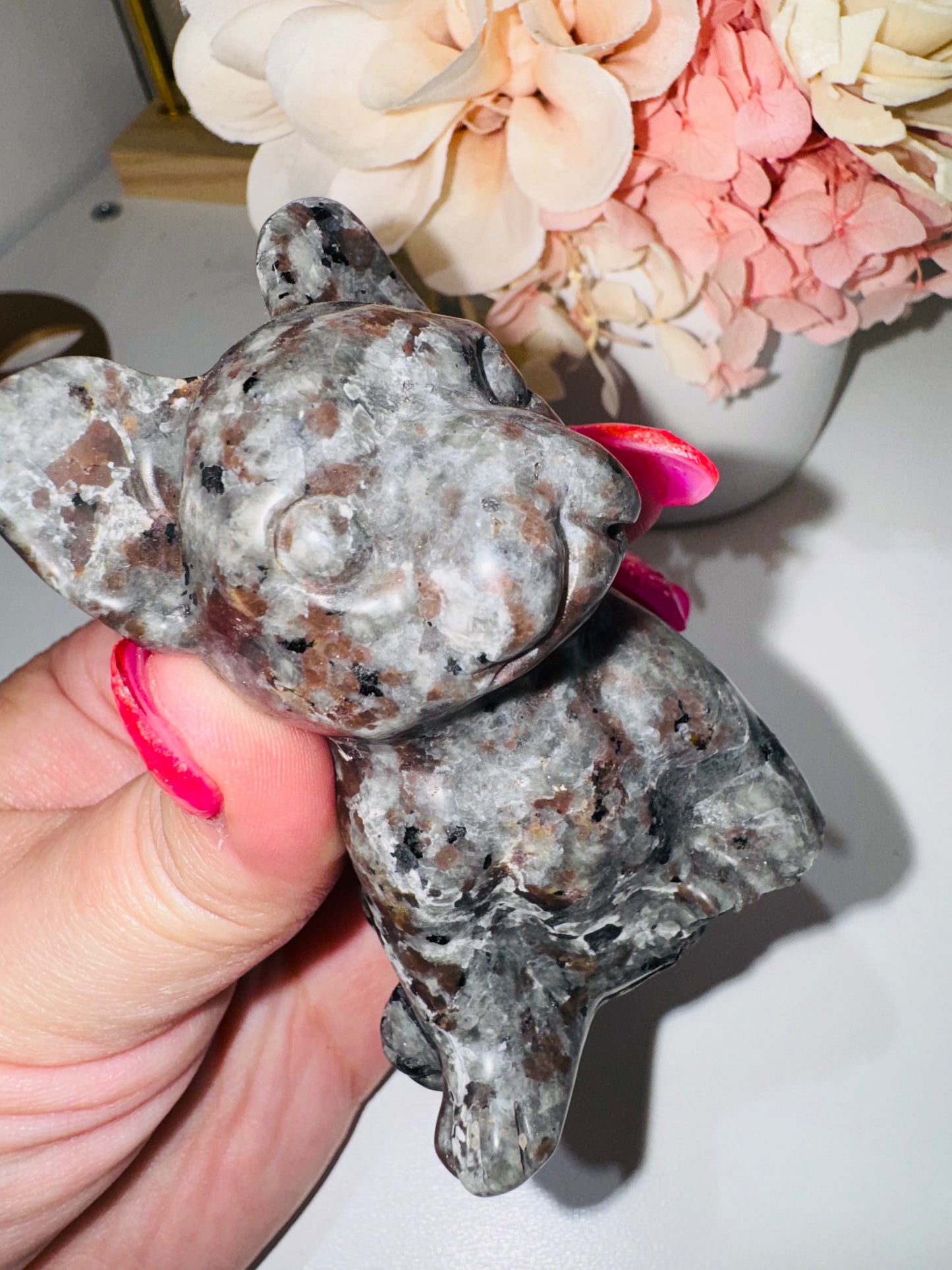 Yooperlite French Bulldog (broken foot)