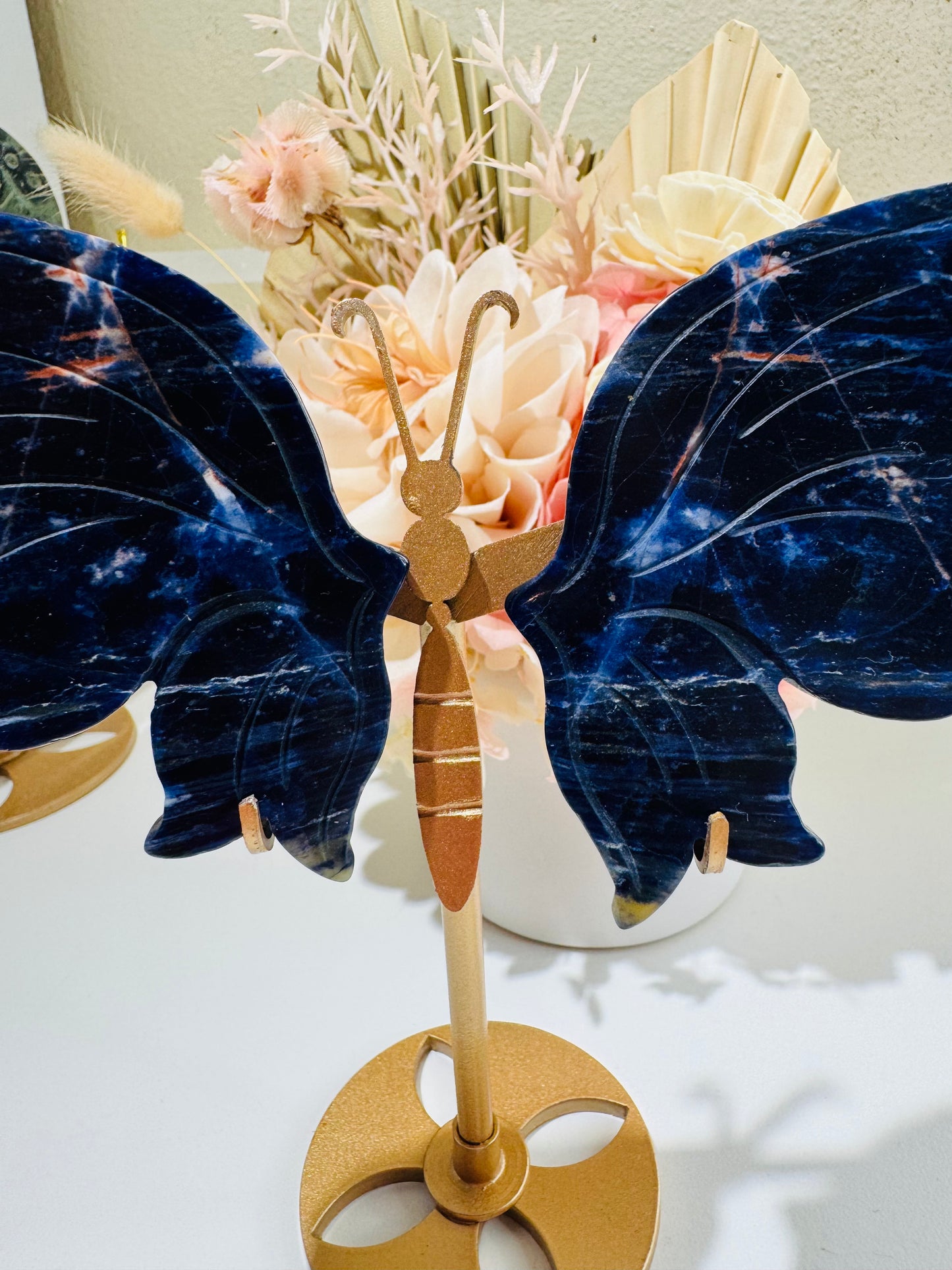 Sodalite Butterfly (miss match stand)