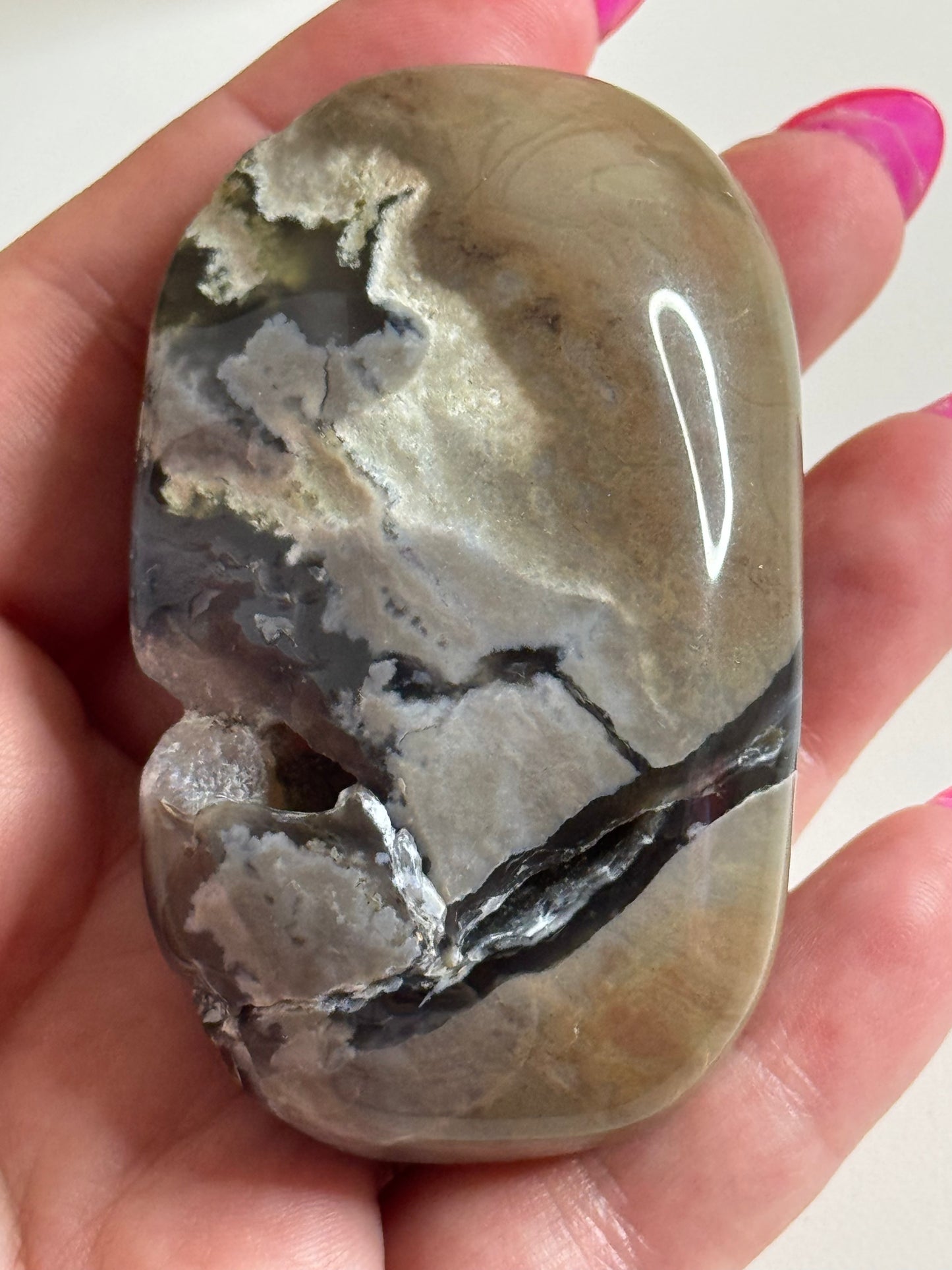 Volcano Agate Palm-stone - Low grade