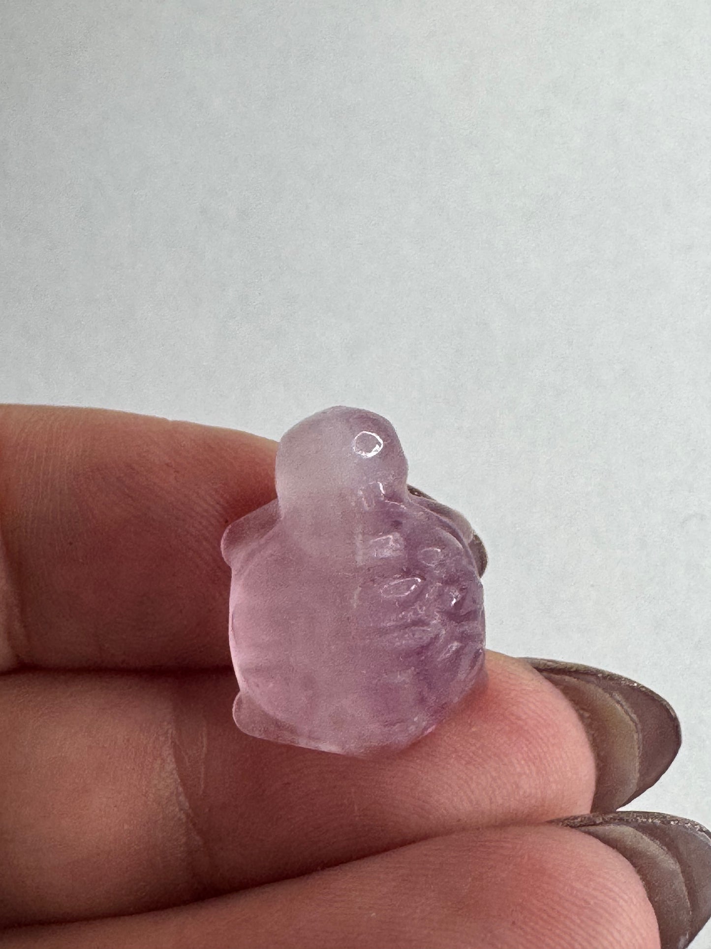Mini Fluorite Turtle