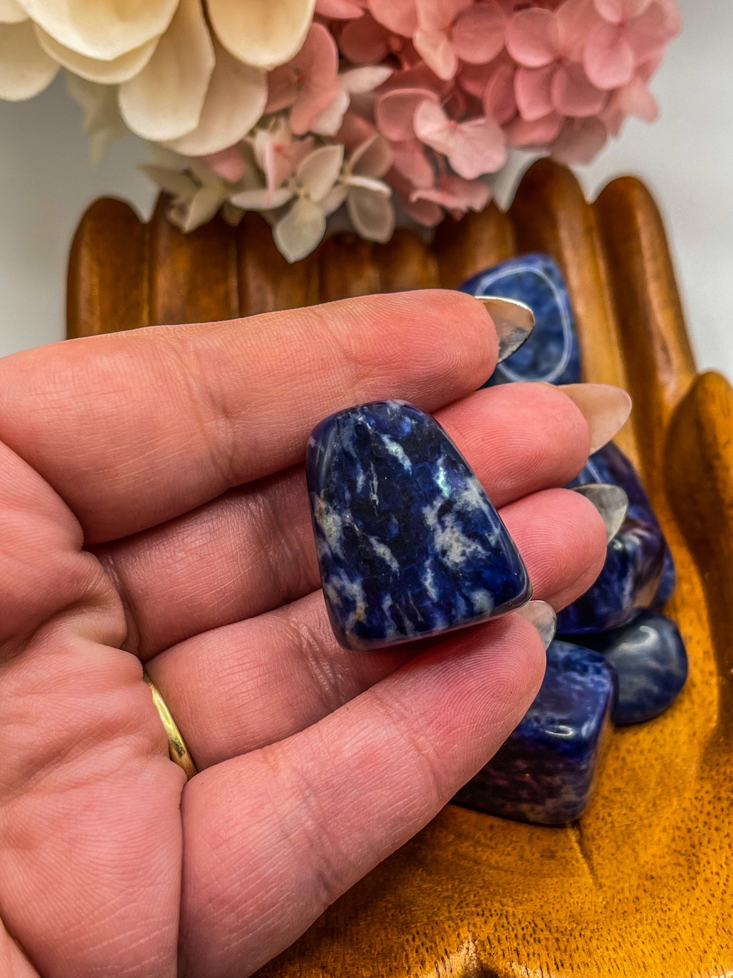 The Archer Collection Sodalite Tumble