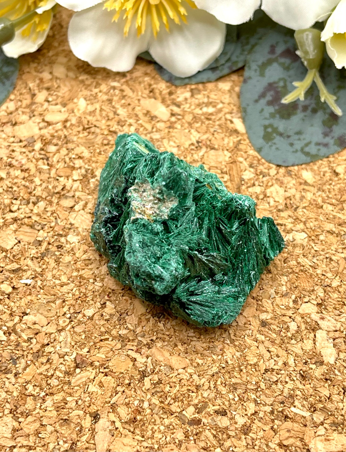 Fibrous Malachite Specimen