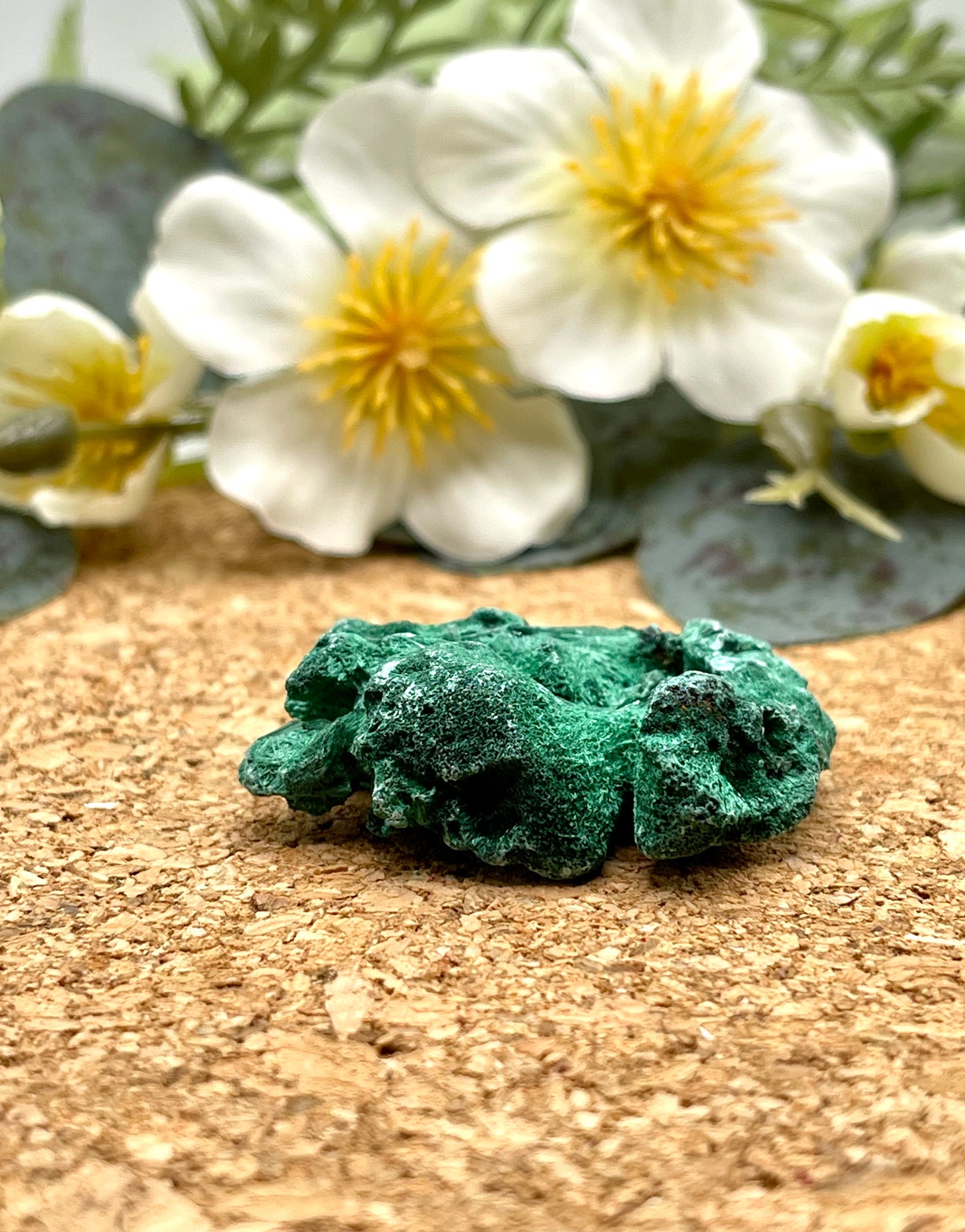 Fibrous Malachite Specimen