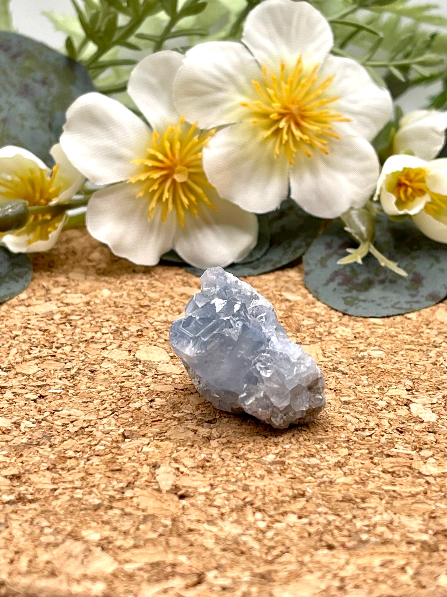 Mini Celestite Cluster