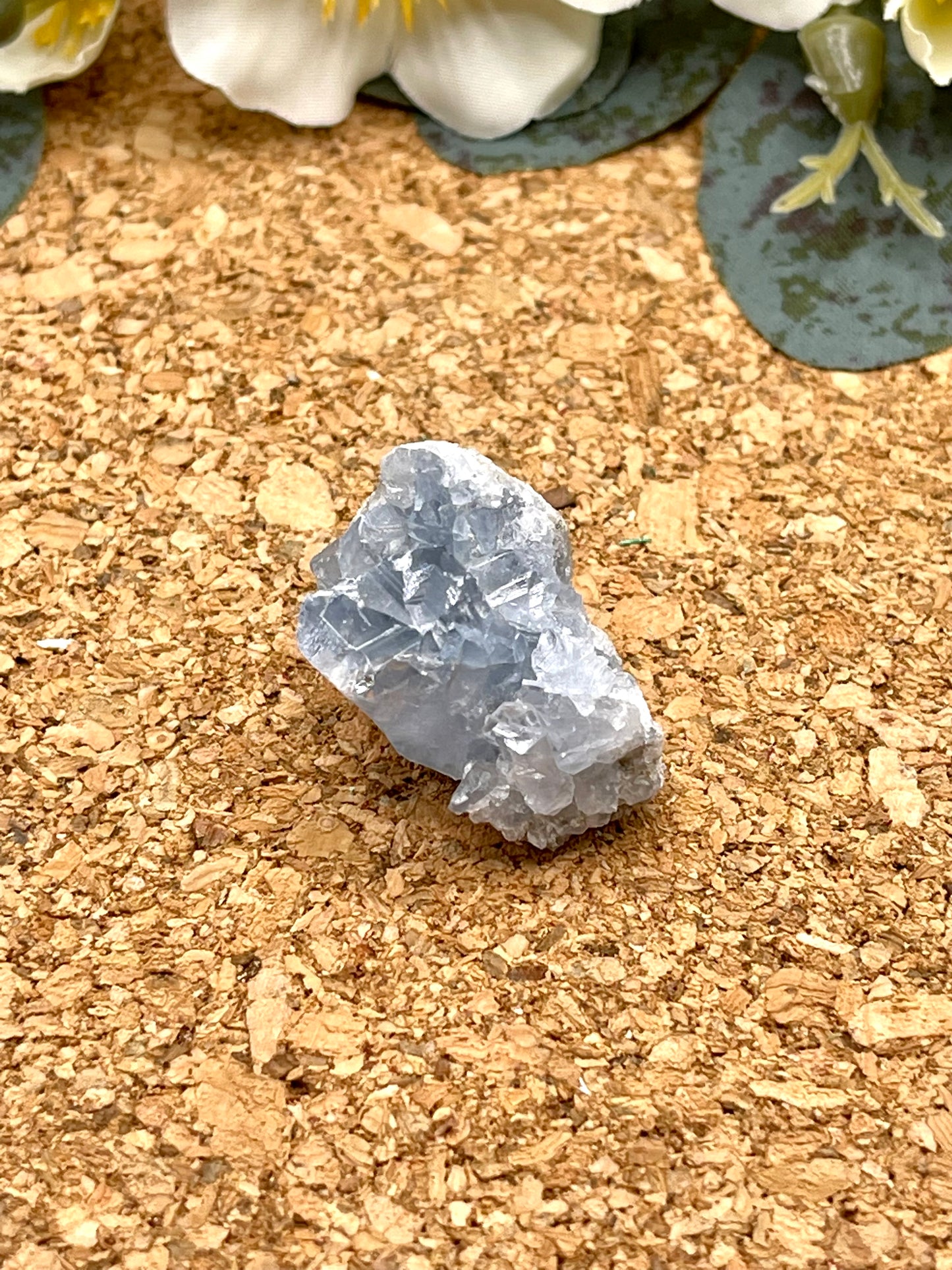 Mini Celestite Cluster